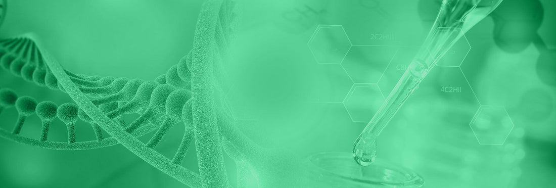 Ingredient Spotlight: Beta-Alanine